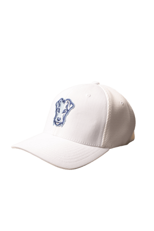 Casquette de golf Dogleg baseball blanche et bleu — accessoire golf Suisse