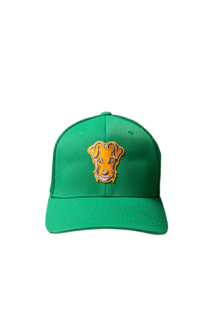 Casquette de golf Dogleg baseball verte, vue de face — accessoire golf Suisse