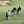 Clubhouse Hoodie Enfant Dogleg — Bleu ciel, en situation sur le parcours