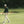 Clubhouse Hoodie Homme Dogleg — Vert, en situation sur le parcours