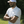 Polo de golf Dogleg Tour homme blanc et vert porté — golf Suisse