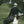 Stella Serviette Dogleg — Beige, en situation sur le parcours